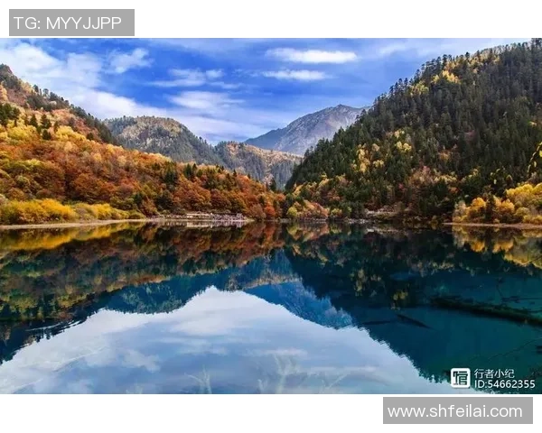 波特兰木材行业如何应对频发地震带来的挑战与机遇