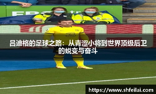 金沙集团1862cc成色官网